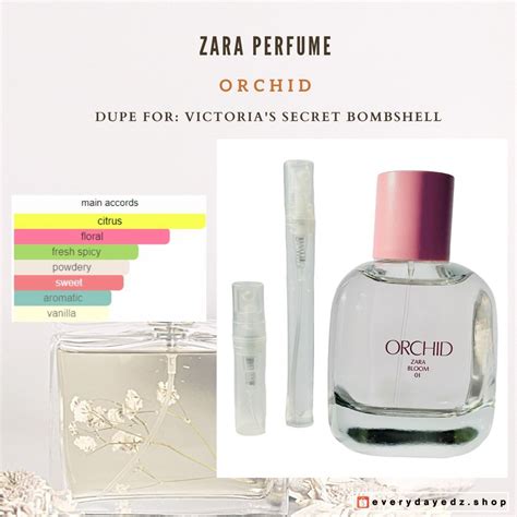 chloe dupe zara|zara orchid dupe.